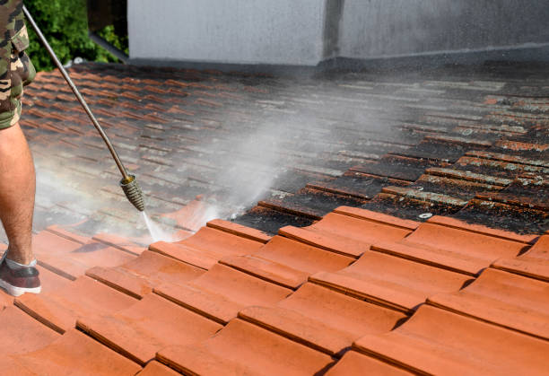 Best Pressure Washing Patio  in Sto Brook, NY